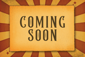 כתבה מספר שלוש